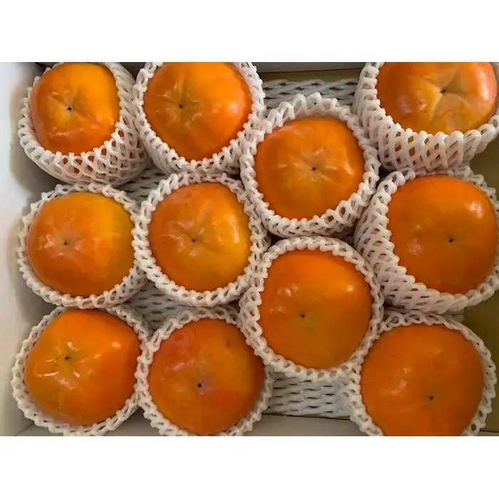 富有柿 赤秀品 2Lサイズ 化粧箱（11個）