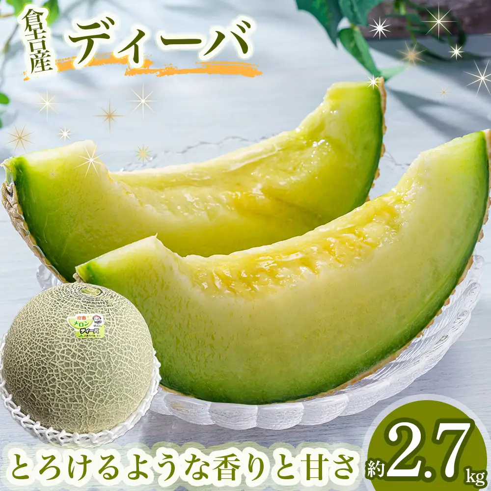 【倉吉産】ディーバメロン 約2.7kg（10月発送） ディーバメロン