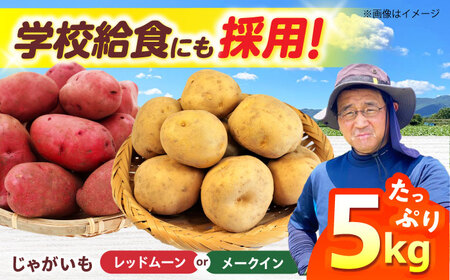 じゃがいも 5kg（6月頃発送予定） じゃがいも [AOCS024]