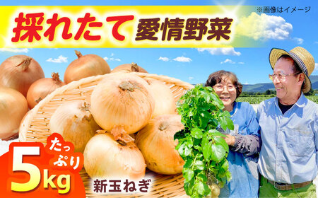 七宝早生 新玉ねぎ 5kg [AOCS026]