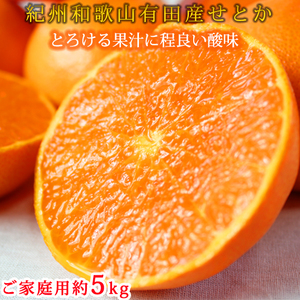 とろける食感!ジューシー柑橘 せとか 約5kg 【家庭用 訳あり】｜みかん ミカン 柑橘 果物 くだもの フルーツ せとか 甘い 先行予約 国産 産地直送 人気 美浜町