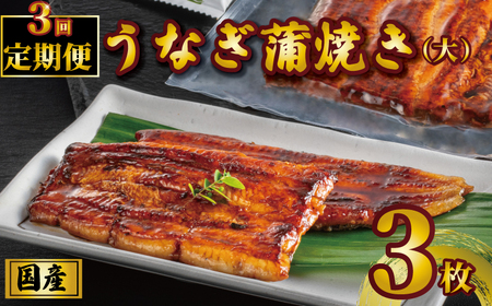 国産うなぎ蒲焼き タレ・山椒付き 3枚 1枚約110g 定期便3回 鰻 鰻 鰻 鰻 鰻 石毛川魚店