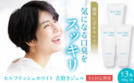 歯磨き粉【全6回定期便】舌磨きジェル ミントフレーバー風味 3本(各100g) 歯磨き粉[AGCQ023]