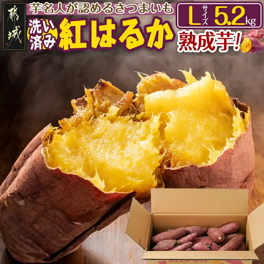 【熟成芋】芋名人が認めるさつまいも『洗い済み　紅はるか』5.2kg Lサイズ ※12月～1月頃順次発送〔LE-L702-J〕_(都城市) 宮崎県都城産 紅はるか Lサイズ