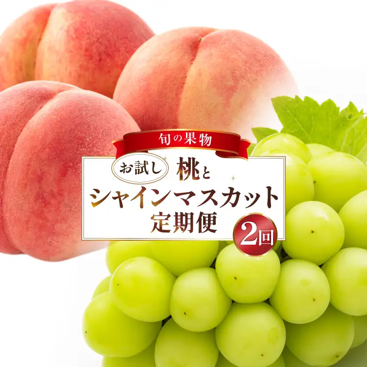 フルーツ 定期便 2回 山梨 旬な果物 お試しセット 桃 1.1kg(3?5玉) シャインマスカット 600g(1房) [斎庵 山梨県 韮崎市 20745282]