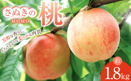 【6月中旬頃～発送】桃 もも 白桃 約1.8kg