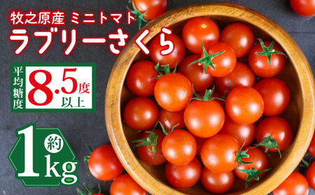 トマト 予約受付 1kg ミニトマト とまと