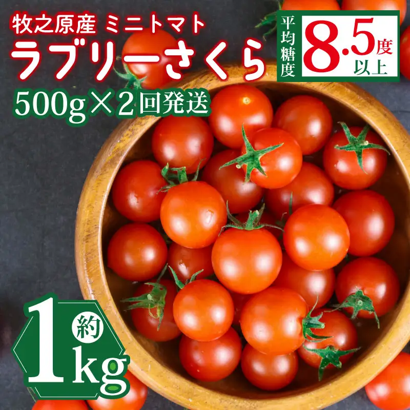 ミニトマト 500g × 2回発送 【ミニトマト】 山本農園