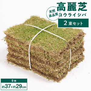天然　高品質　高麗芝(コウライシバ)　2束セット(約2平方メートル分)