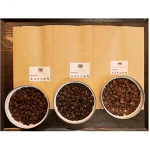 ＜2ヵ月毎定期便＞厳選コーヒー豆100g×5種類セット全3回