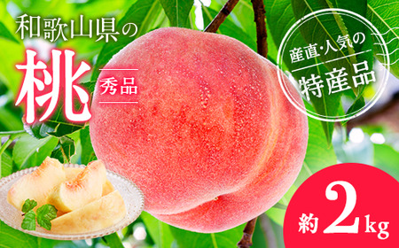 【農園直送】朝採れの和歌山の桃　約2kg・秀品【2026年度発送分】｜ もも モモ 