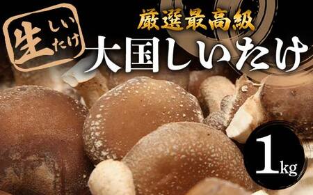 厳選最高級 生しいたけ『大国しいたけ』 1kg F5K-529