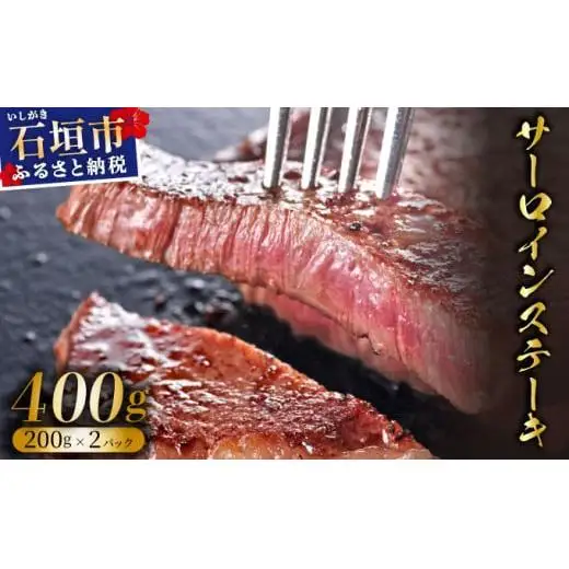 サーロインステーキ　合計400g　IM-71