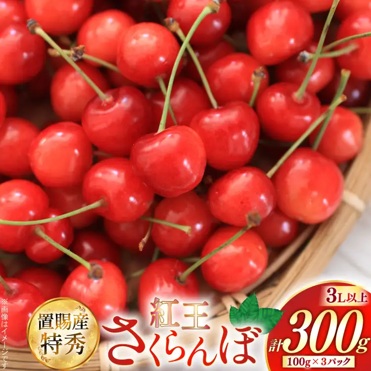 【期間限定発送】 さくらんぼ 置賜産 紅王 特秀 3L 以上 100g 3p 計300g [JA山形おきたま 山形県 高畠町 tk06ays870054]