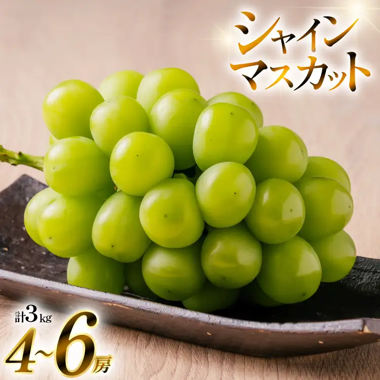 【期間限定発送】 シャインマスカット 4?6房 約 3kg [いわた果樹園 山形県 高畠町 tk06ayt400002]