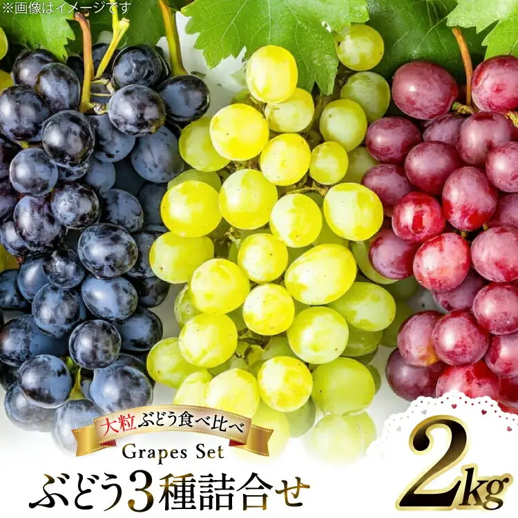 【期間限定発送】 ぶどう 3種詰合せ 約2kg [大野農園 山形県 高畠町 tk06ayt050004]