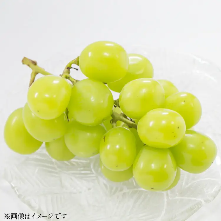 【期間限定発送】 ぶどう クリスマス シャインマスカット 1房 約700g [大野農園 山形県 高畠町 tk06ayt050005]