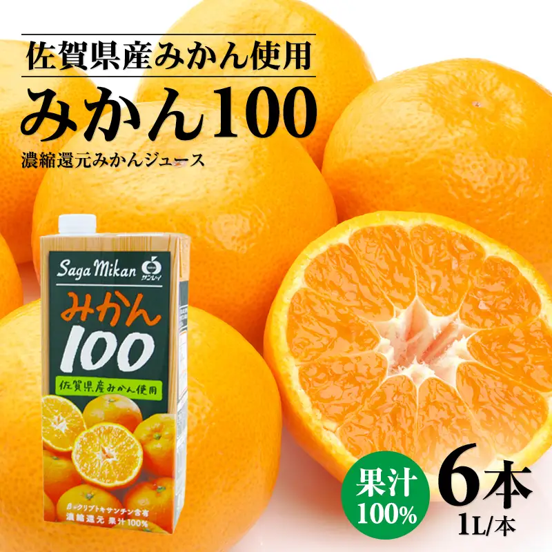佐賀県産みかん使用 みかん100（ 紙パック 1L×6本） ジュース B110-044