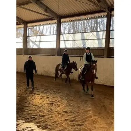 乗馬体験【レッスン1回コース】_旅行券・チケット  体験チケット _【1602396】