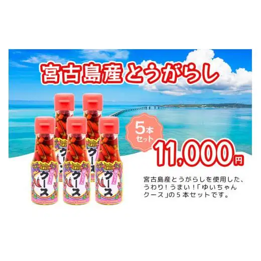 DQ042　うわり！うまい！「ゆいちゃんクース」5本セット