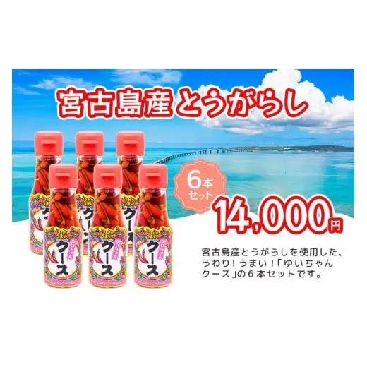 DQ043　うわり！うまい！「ゆいちゃんクース」6本セット