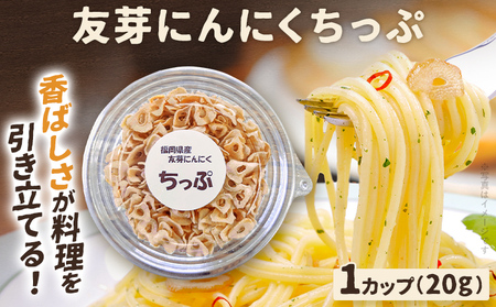 にんにく チップ 友芽にんにく 20g メール便 ポスト投函 