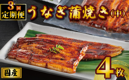 鰻 国産 鰻蒲焼き 4枚 定期便3回