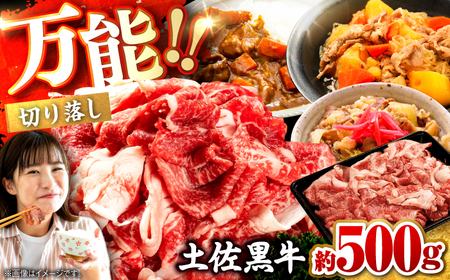 土佐黒牛　切り落し　約500g【高知県食肉センター株式会社】[ATFC020]
