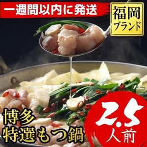 【７日以内に発送】福岡ブランド　博多特選もつ鍋(プリプリの国産牛小腸のみ使用　2.5人前・醤油味)