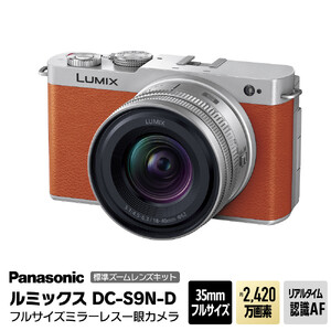 パナソニック フルサイズミラーレス一眼カメラ ルミックス DC-S9N-D カメラ