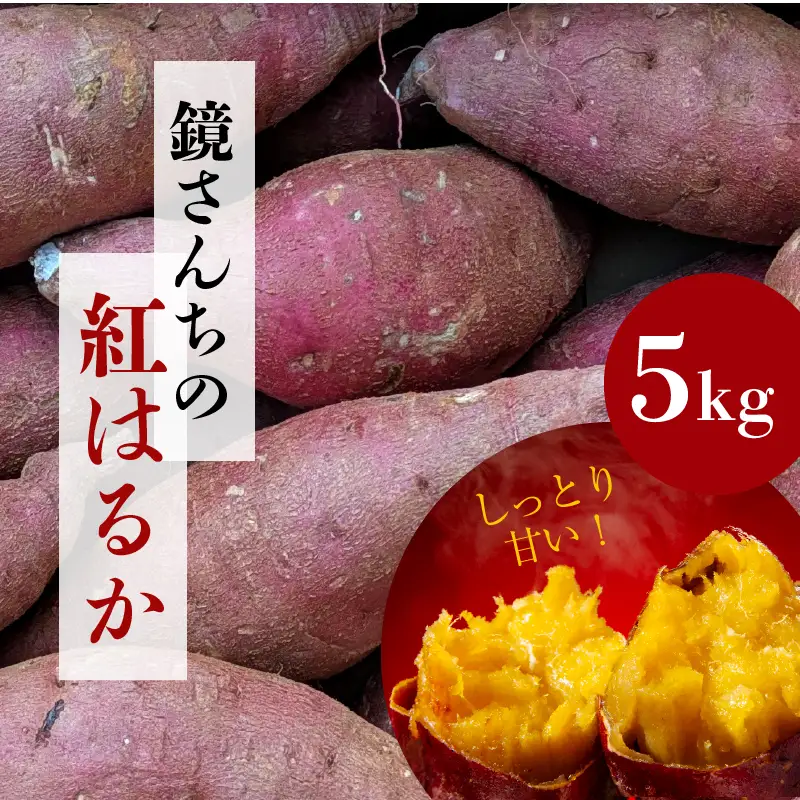 S050-010_鏡さんちの紅はるか 5kg