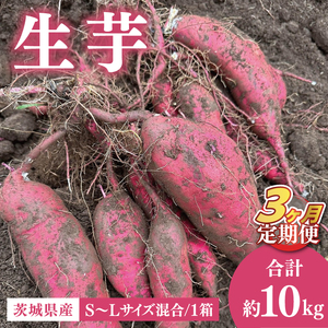 【先行予約2026年1月上旬から発送】【3ヶ月定期便】生芋10kg　S～Lサイズ混合　1箱【芋 さつまいも サツマイモ  阿見町 茨城県】(56-16)