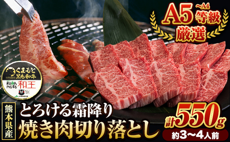くまもと黒毛和牛 和王 バラ 霜降り 焼肉切り落とし 550g A5 A4 等級《30日以内に出荷予定(土日祝除く)》熊本県 菊池市 黒毛和牛 牛肉 冷凍 個別 取分け 小分け チャック付き バラ凍結 肉 お肉 焼き肉 焼き肉用