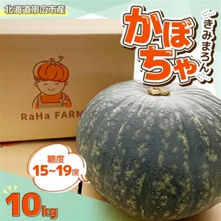 北海道帯広市産　かぼちゃ「きみまろん」10kg　糖度15～19_野菜 かぼちゃ  カボチャ 南瓜_【1548011】