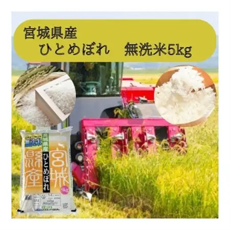 【令和7年産】宮城県産　無洗米ひとめぼれ 5kg_ 無洗米 米 こめ コメ   精米 米    ひとめぼれ 米 _【1588901】