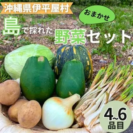島で採れた新鮮野菜詰め合わせセット(4～6品目)【配送不可地域：離島】【1606515】