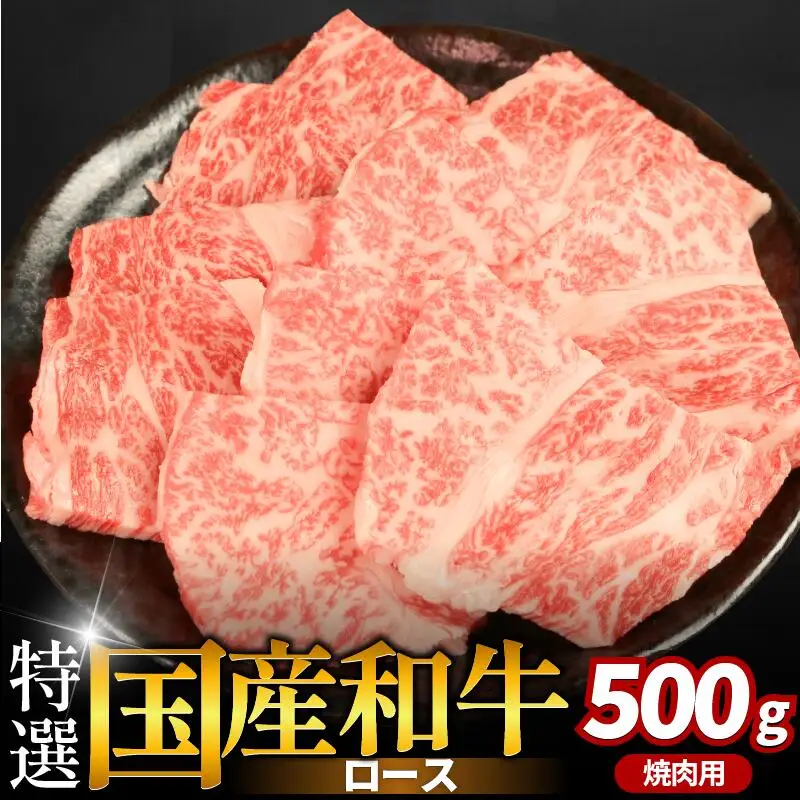 牛肉 特選 ロース 500g 焼肉用 国産和牛 焼肉
