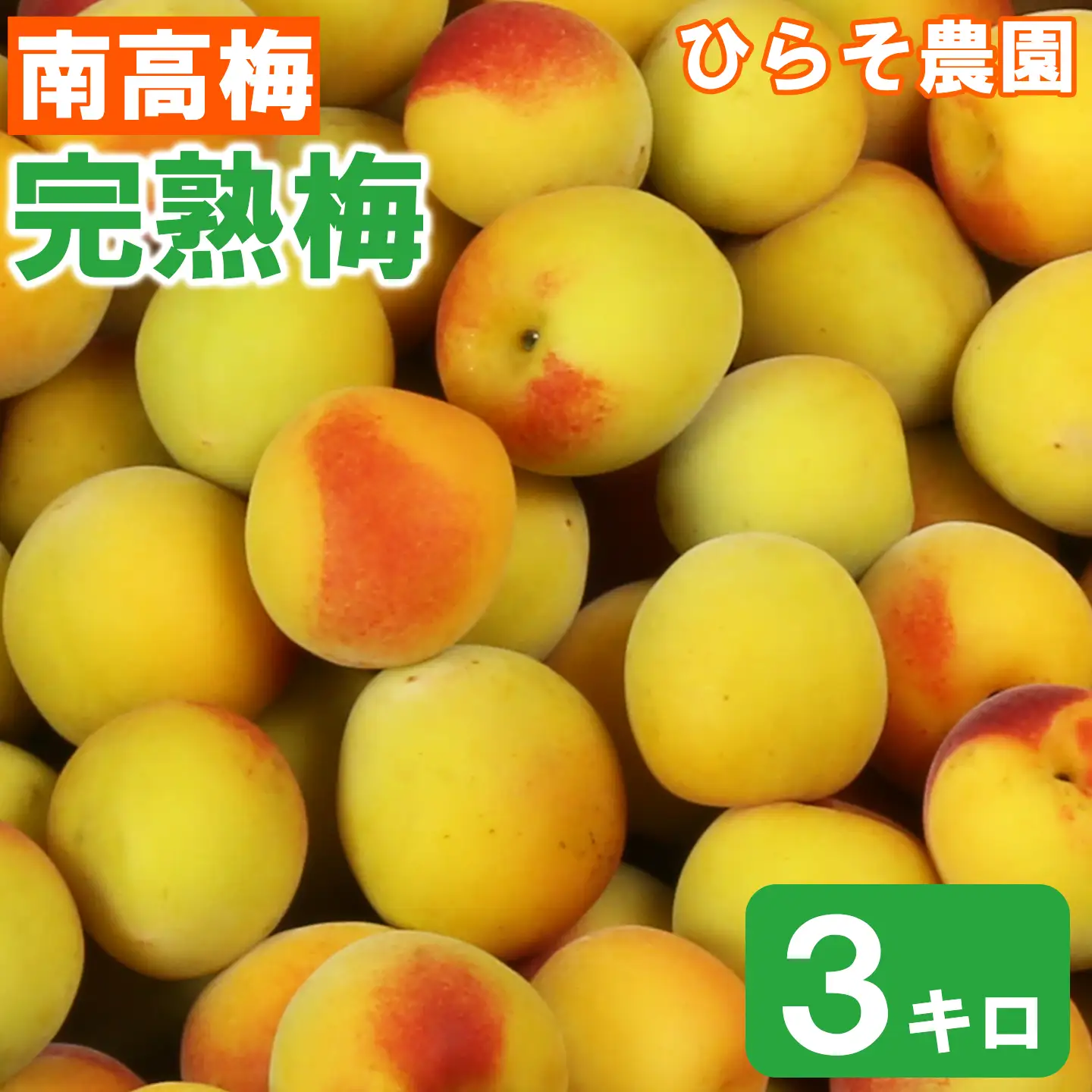梅 南高梅 完熟梅 3キロ 完熟 予約 梅干 梅干し用 ナンコウウメ 数量限定 先行予約 6月 農家直送 ／ ひらそ農園の完熟梅 3kg ＜004-008＞