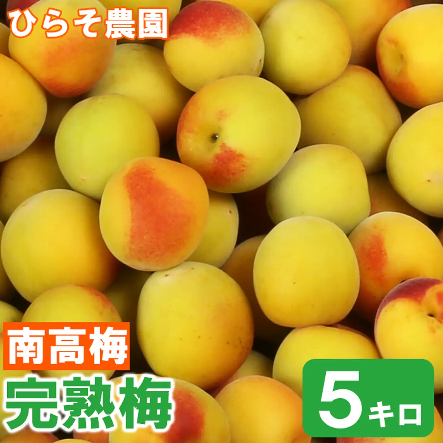 梅 南高梅 完熟梅 5キロ 完熟 予約 梅干 梅干し用 ナンコウウメ 数量限定 先行予約 6月 農家直送 ／ ひらそ農園の完熟梅 5kg ＜004-009＞
