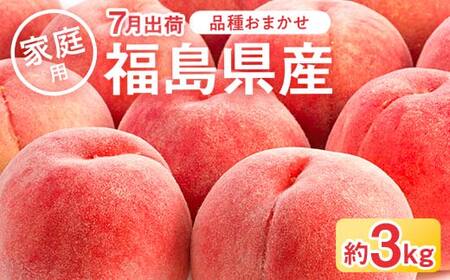 【2026年出荷分先行予約】福島県産 家庭用の桃 約3kg (9～15玉) 品種おまかせ (7月出荷分) 農業生産法人種まきうさぎ株式会社 伊達市の桃 桃 フルーツ 果物 もも モモ momo F21C-081