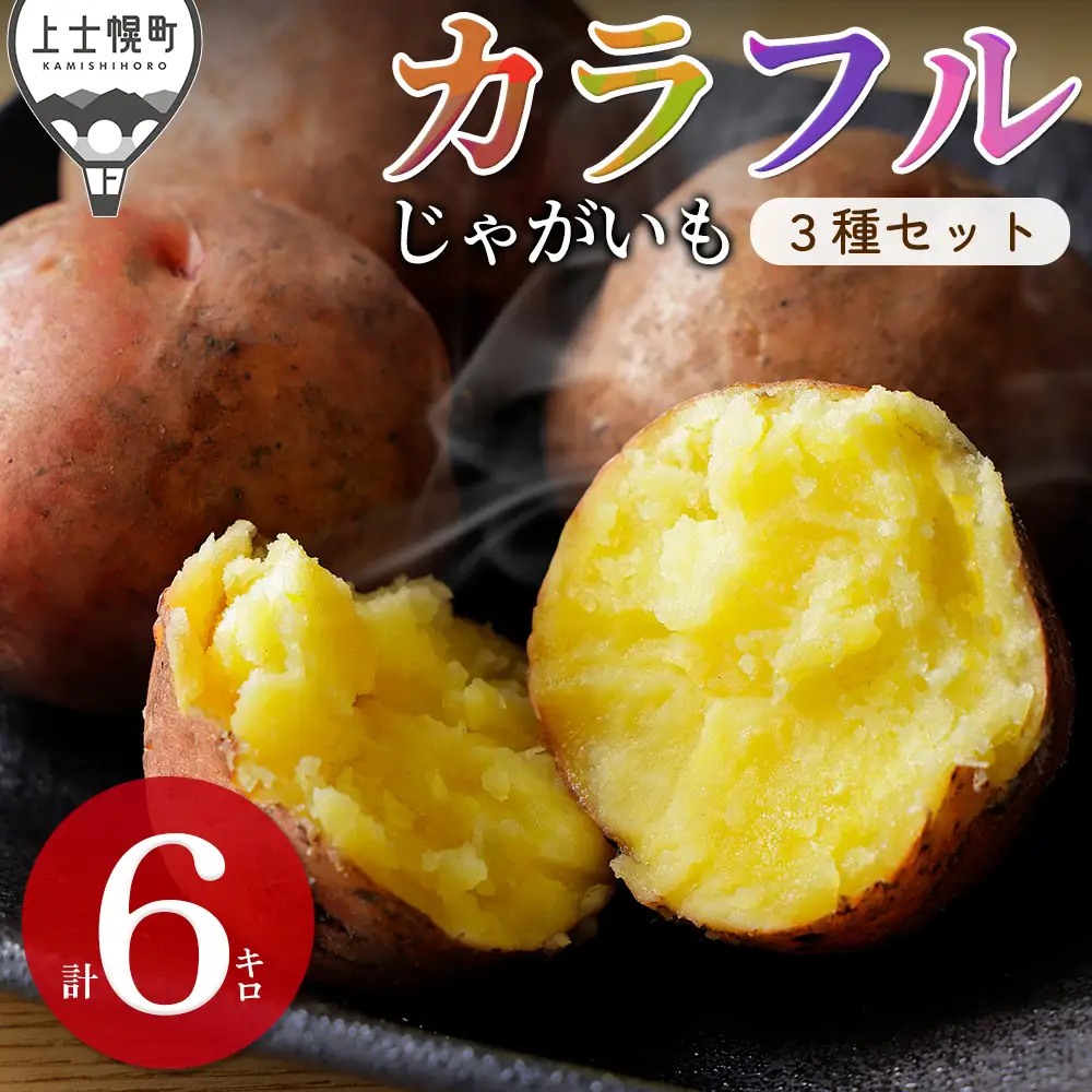 2026年産 先行予約 北海道産 カラフルじゃがいも 3種セット 計6kg 上士幌町加藤農場 馬鈴薯 芋 イモ 野菜 詰め合わせ　◆2026年12月配送予定