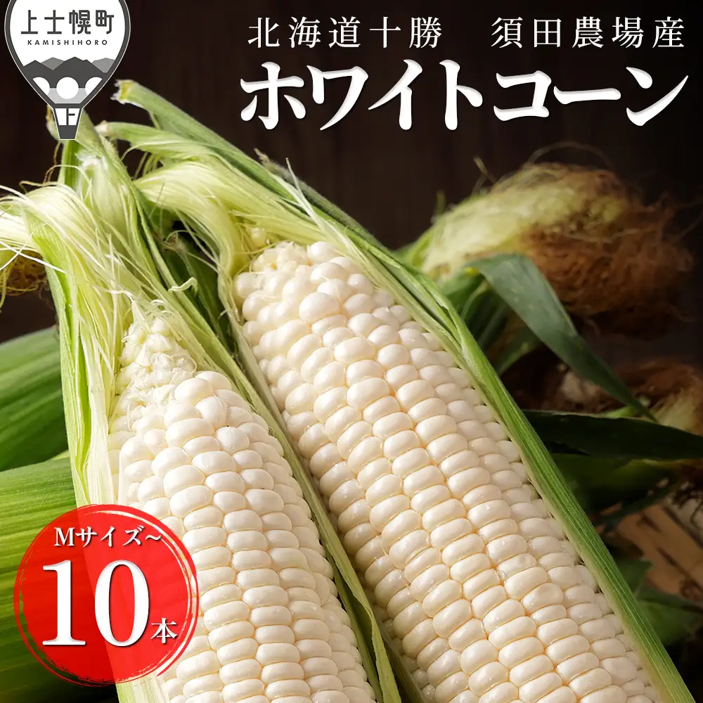 2026年産 先行予約 北海道産 ホワイトコーン 計10本 北海道 上士幌町 須田農場 野菜 白い スイートコーン とうもろこし トウモロコシ 産地直送 冷蔵便 ◆2026年08月配送予定