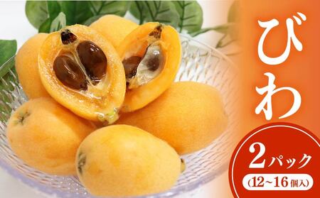 【先行予約】 びわ 12～16玉 【ブランド枇杷】 びわ rk038