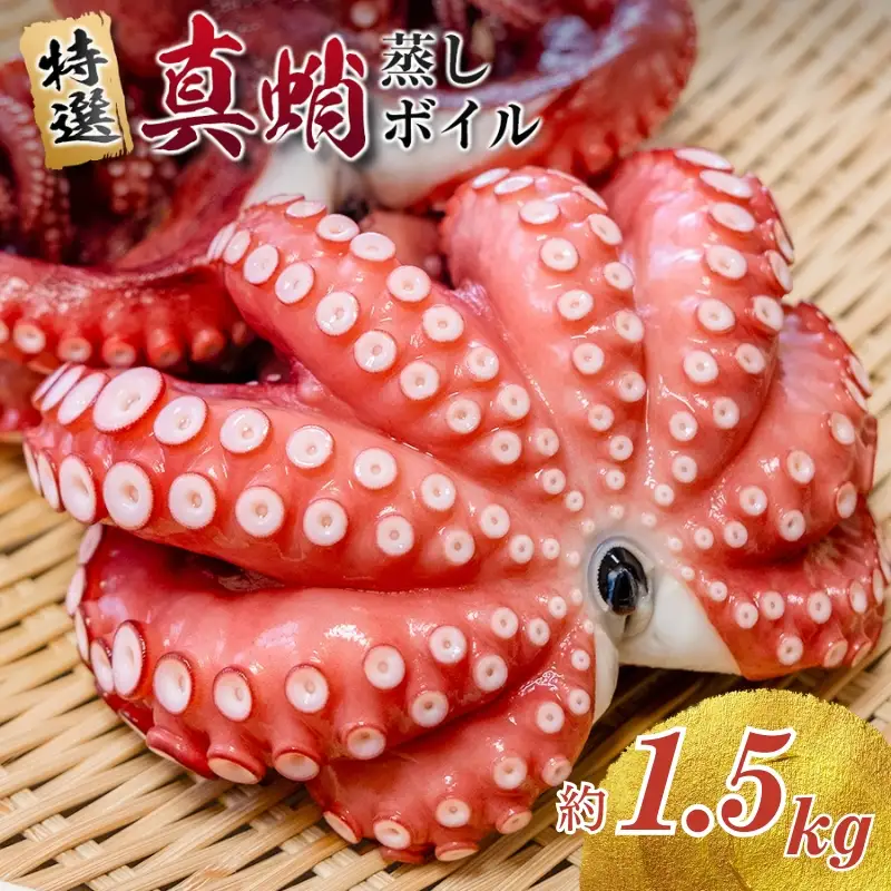たこ 蒸しボイルたこ 約1.5kg 3尾 【hane0011】