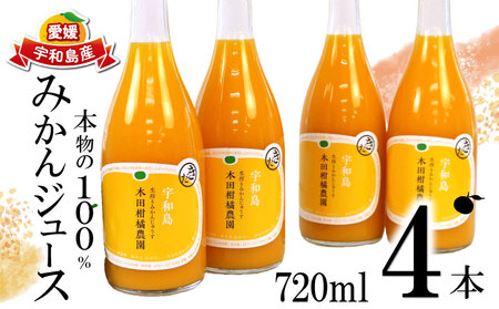 みかんジュース 本物の100％みかんジュース 720ml × 4本 木田柑橘農園 H015-185004