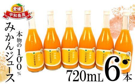 みかんジュース 本物の100％みかんジュース 720ml × 6本 木田柑橘農園 H022-185005