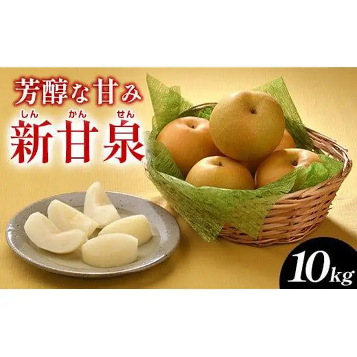 新甘泉（しんかんせん）10kg（ＪＡ）※2026年8月中旬～9月上旬頃に順次発送予定 梨