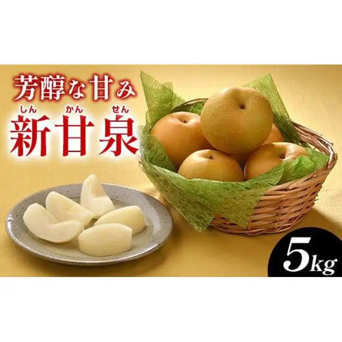 新甘泉（しんかんせん）5kg（ＪＡ）※2026年8月中旬～9月上旬頃に順次発送予定  梨
