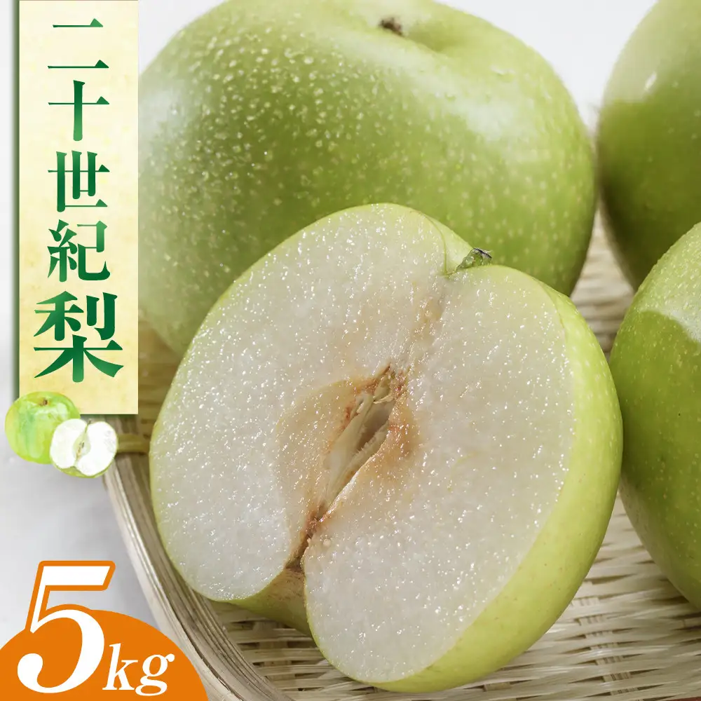 二十世紀 梨 5kg（ＪＡ）※2026年8月下旬～9月上旬頃に順次発送予定   梨