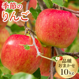 【品種はおまかせ】季節のりんご 10kg箱 ※2026年10月上旬～10月下旬頃に順次発送予定 ｜ りんご